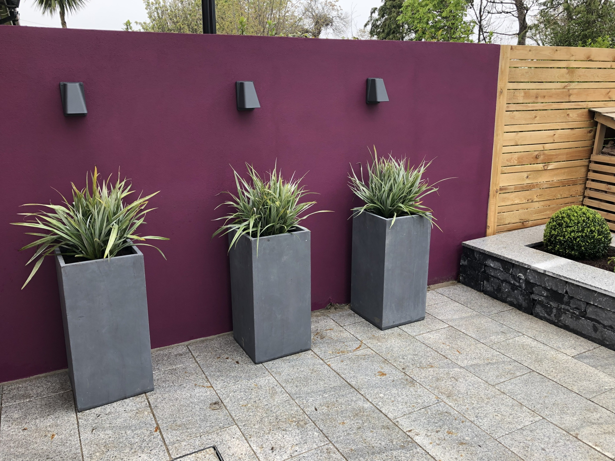 Three Garden Pots against an Aubergine Wall