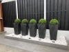 Five Pots in a Row