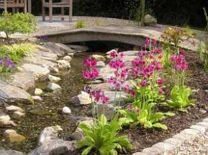 Beautiful Stream and Bridge