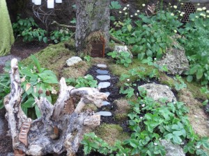 Fairy Garden - Create Magic!