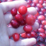 A Cranberry Gathering